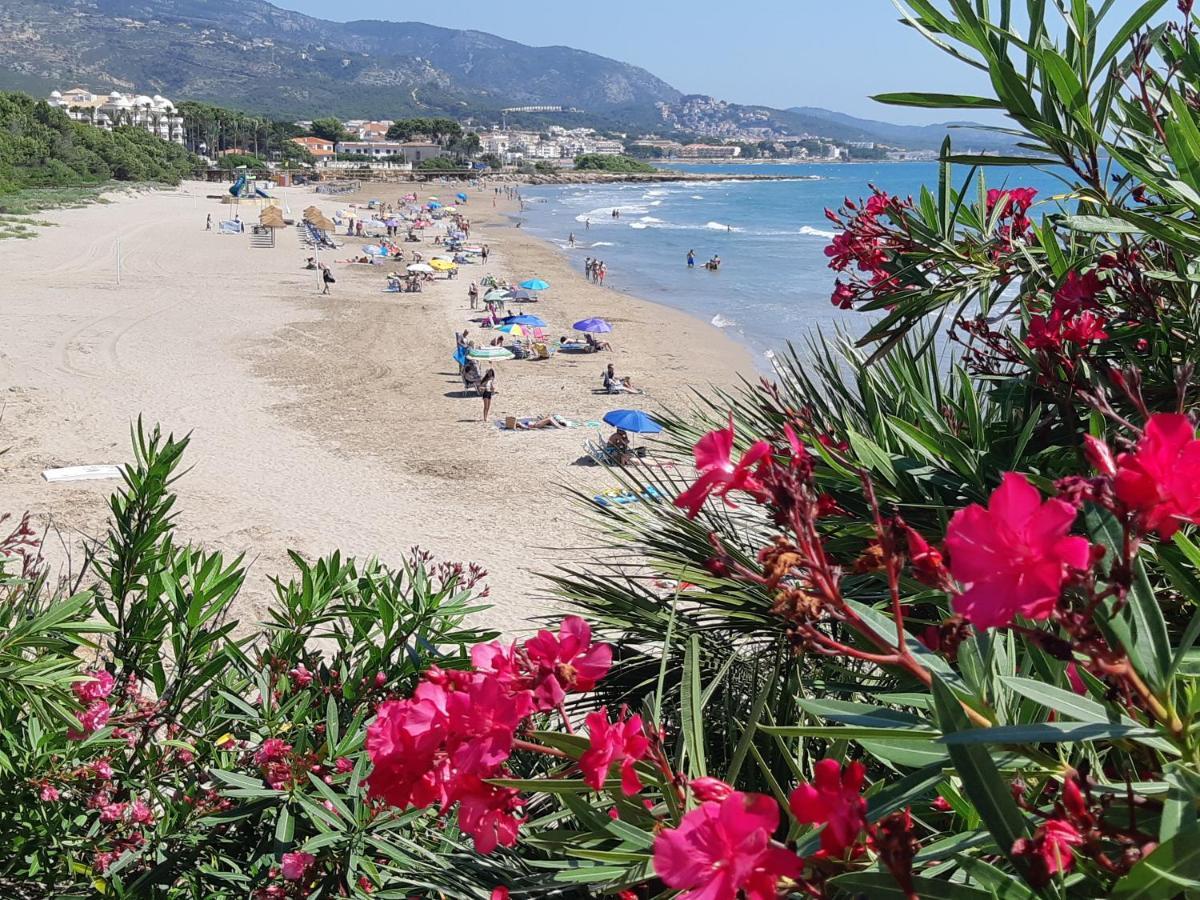 Ferienwohnung Mit Privat-Pool Alcossebre Εξωτερικό φωτογραφία