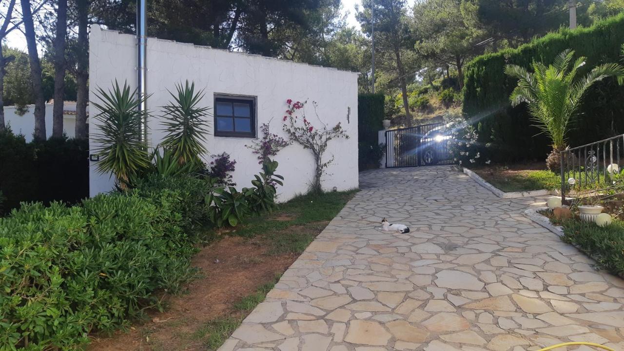Ferienwohnung Mit Privat-Pool Alcossebre Εξωτερικό φωτογραφία