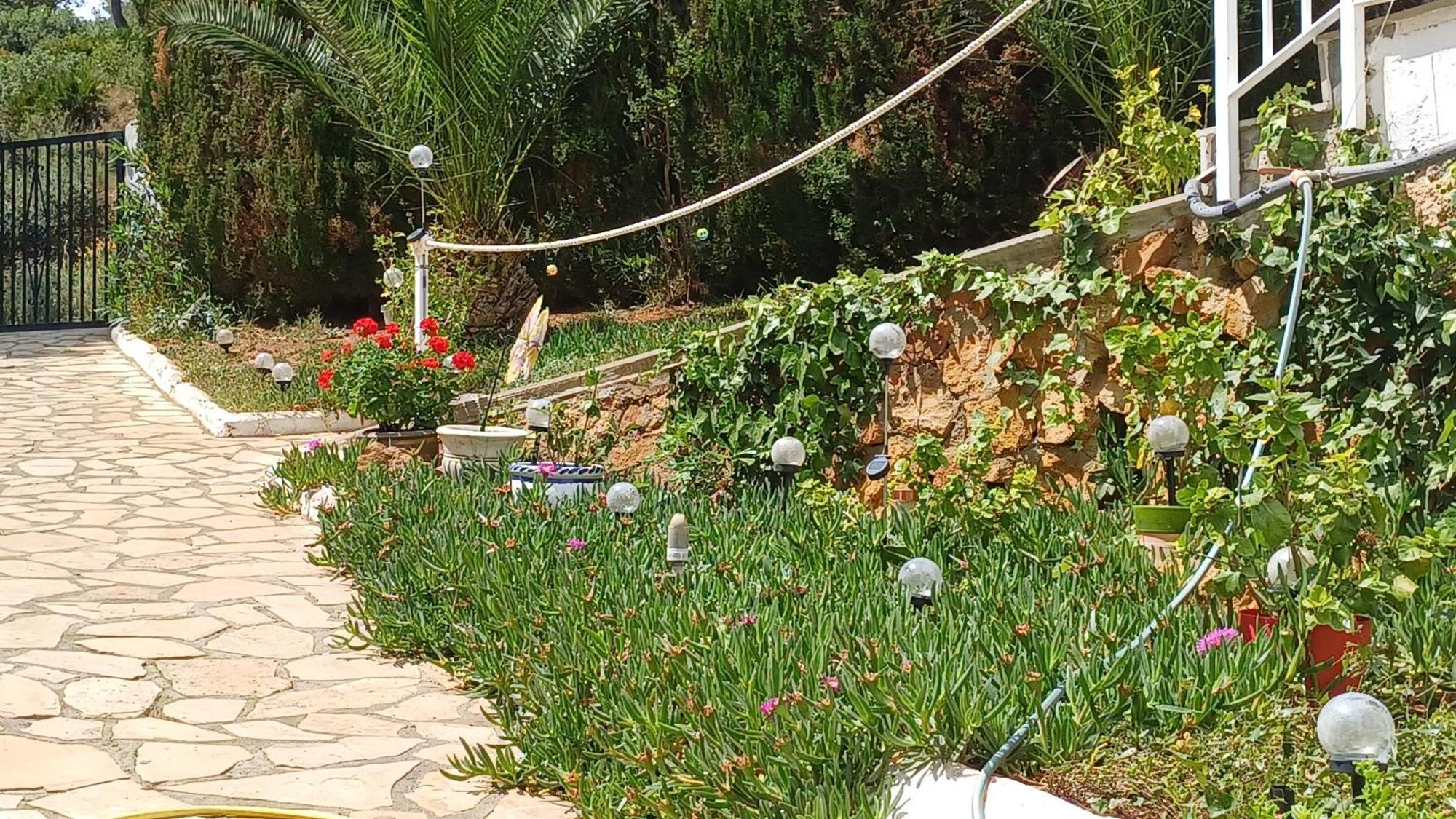 Ferienwohnung Mit Privat-Pool Alcossebre Εξωτερικό φωτογραφία