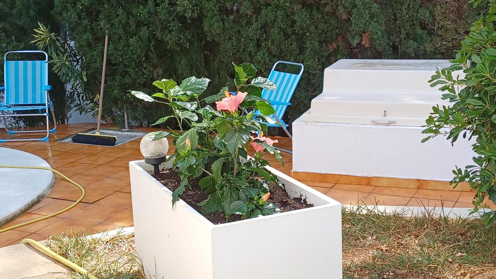 Ferienwohnung Mit Privat-Pool Alcossebre Εξωτερικό φωτογραφία