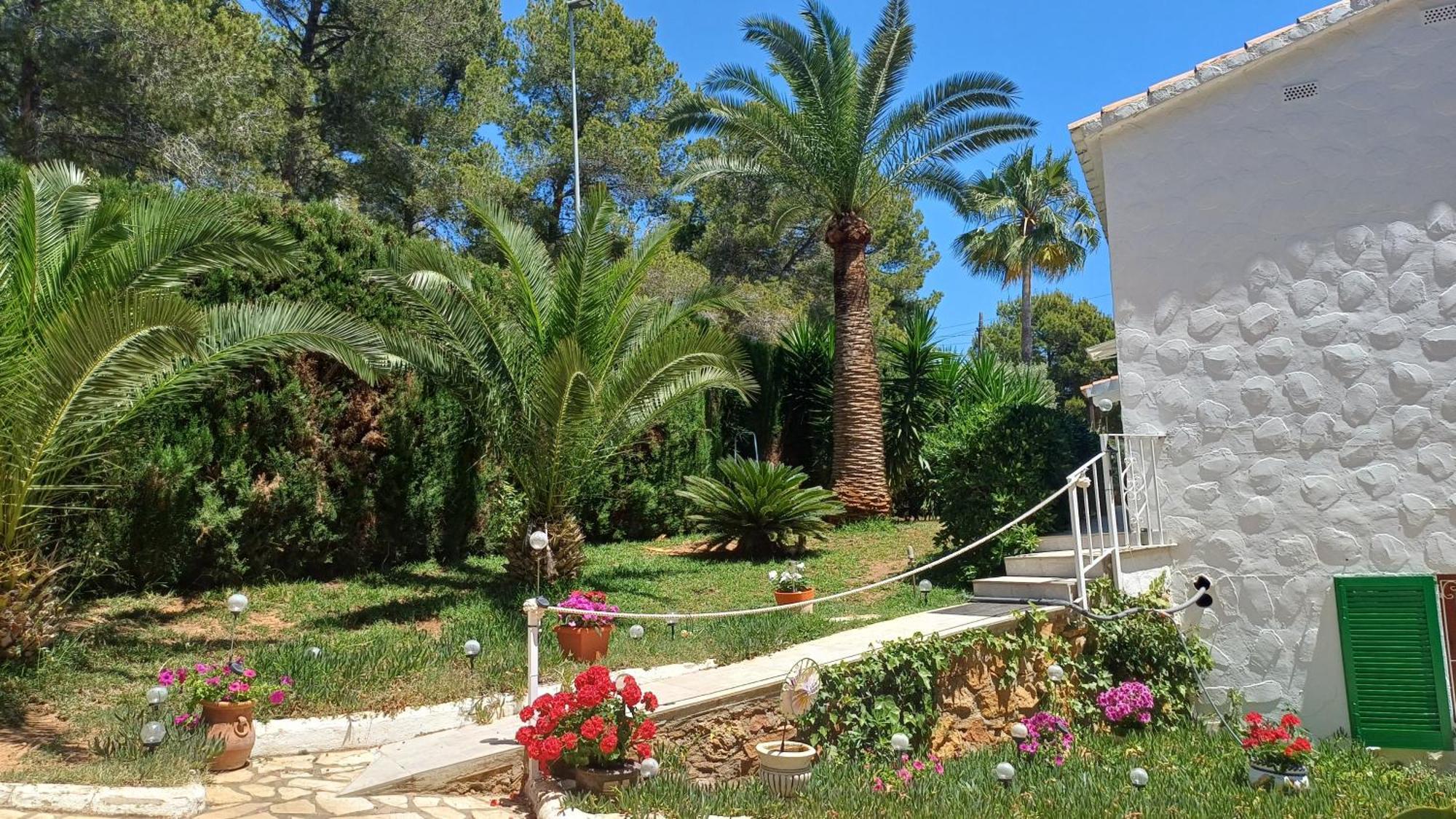 Ferienwohnung Mit Privat-Pool Alcossebre Εξωτερικό φωτογραφία
